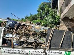 Best Carpet Removal and Disposal  in Kimberly, AL