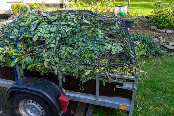 Best Shed Removal  in Kimberly, AL